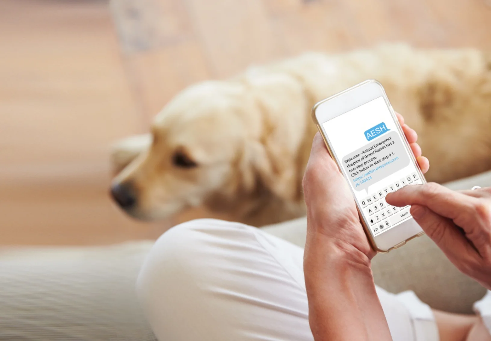 Golden retriever laying down as a person texts. Golden retriever laying down as a person texts.
