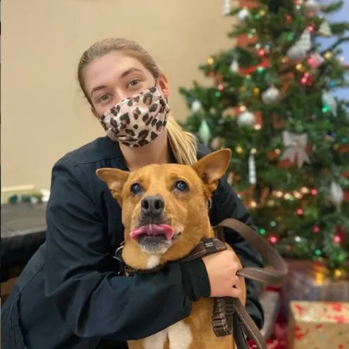 Woman wearing a mask and hugging a large brown dog.