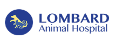 Lombard Animal Hospital Logo Lombard Animal Hospital Logo