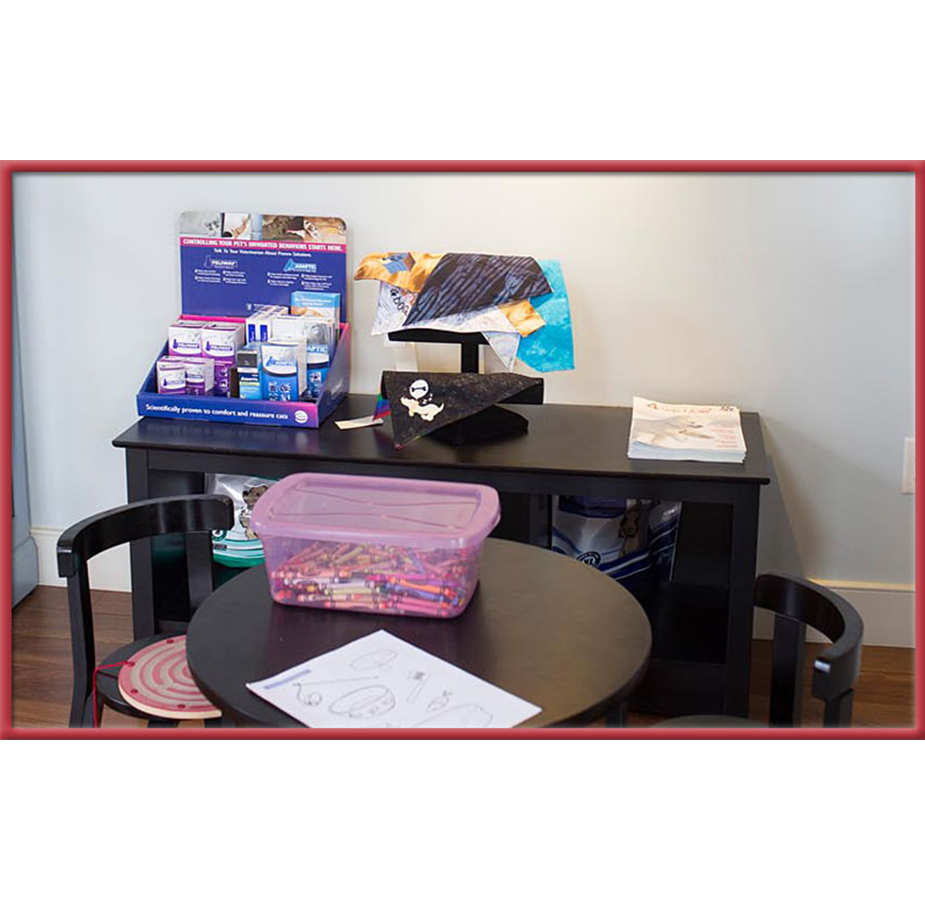 Interior Children Section at Stoney Brook Veterinary Hospital