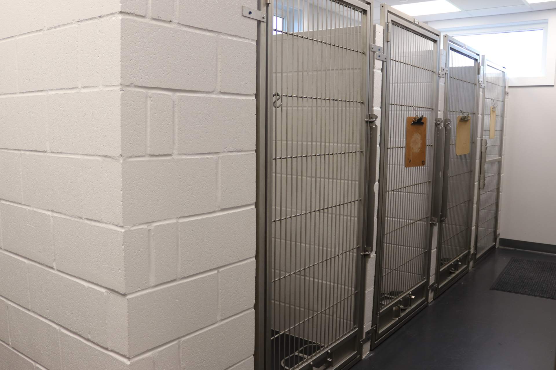 Dog Kennels