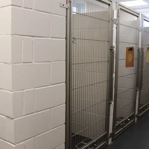 Dog Kennels Dog Kennels