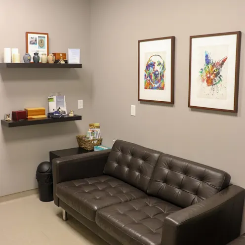 Comfort Room Comfort Room