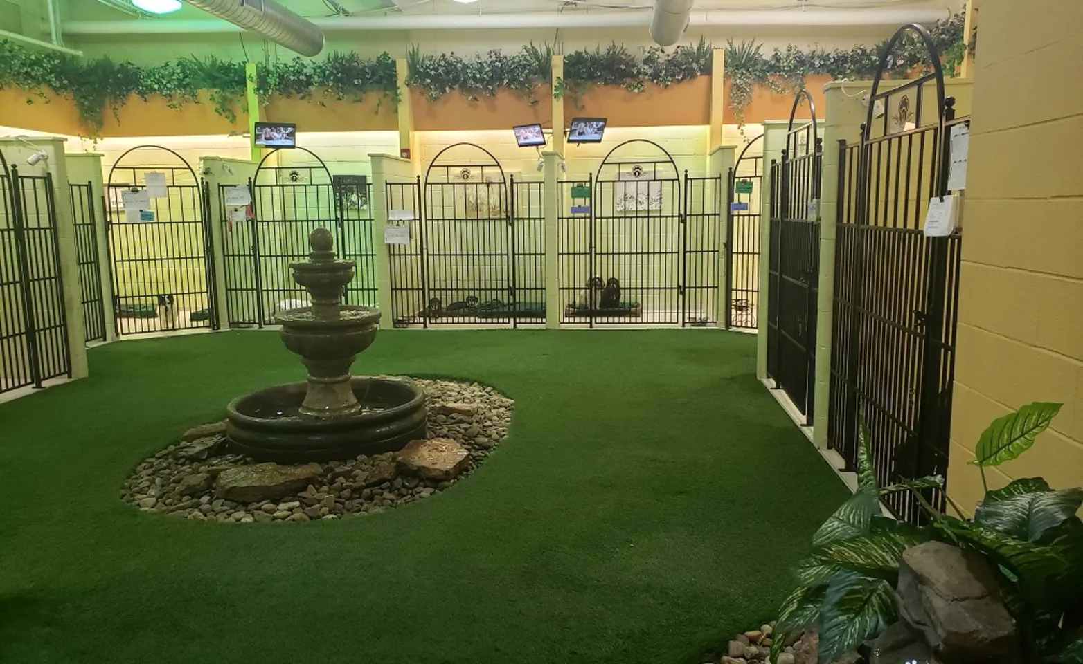 Guest Suite of the The Barkley Pet Hotel & Day Camp Guest Suite of the The Barkley Pet Hotel & Day Camp