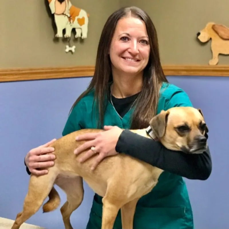 Wendy Stangl, certified veterinary technician at Kind Veterinary Center in St. Peter Wendy Stangl, certified veterinary technician at Kind Veterinary Center in St. Peter