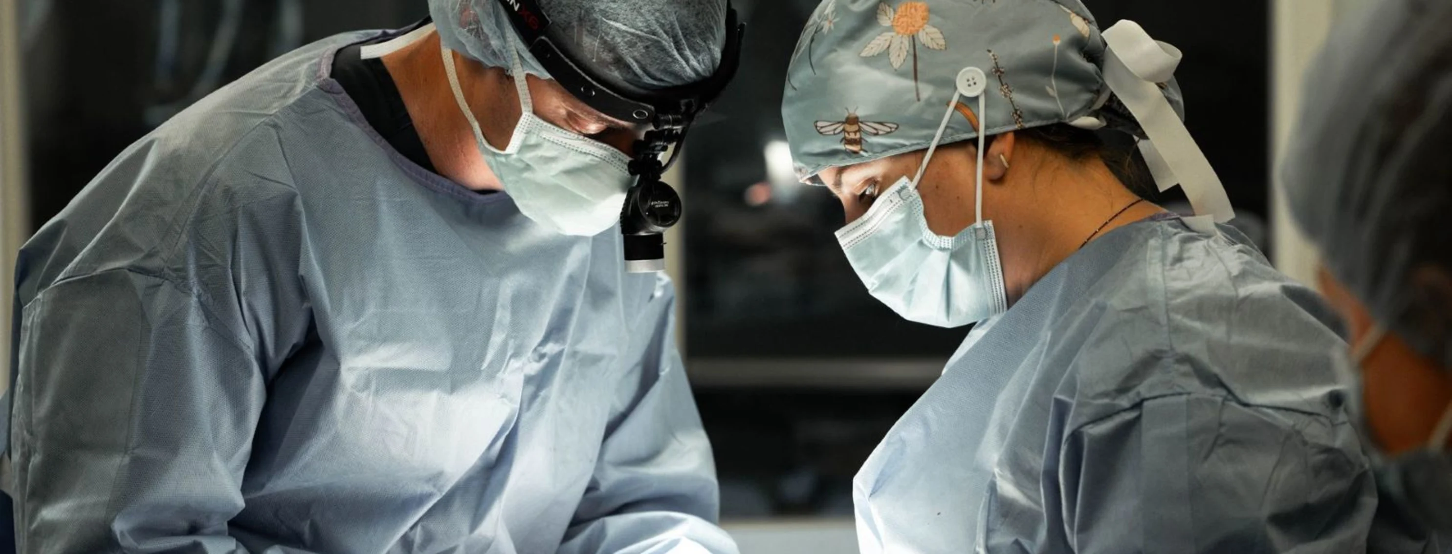 1 Veterinarians around an operating table 1 Veterinarians around an operating table