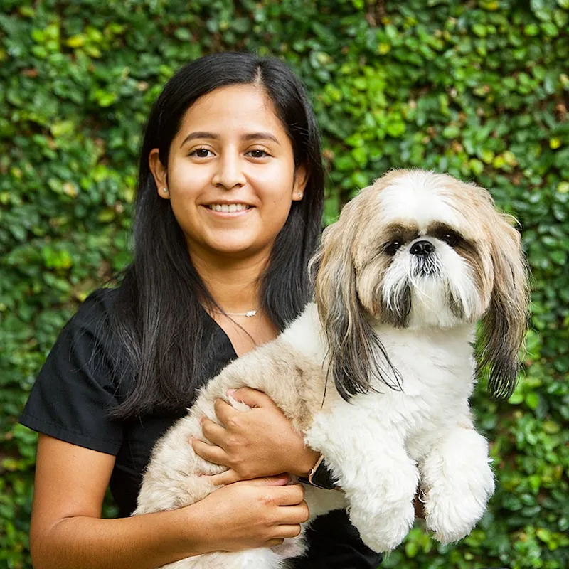 Sandra, Receptionist at Martin Downs Animal Hospital Sandra, Receptionist at Martin Downs Animal Hospital
