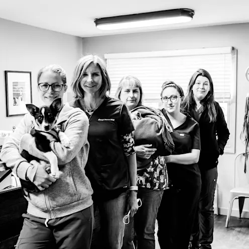 Black and white image of the staff at The Valley Veterinary Hospital Black and white image of the staff at The Valley Veterinary Hospital