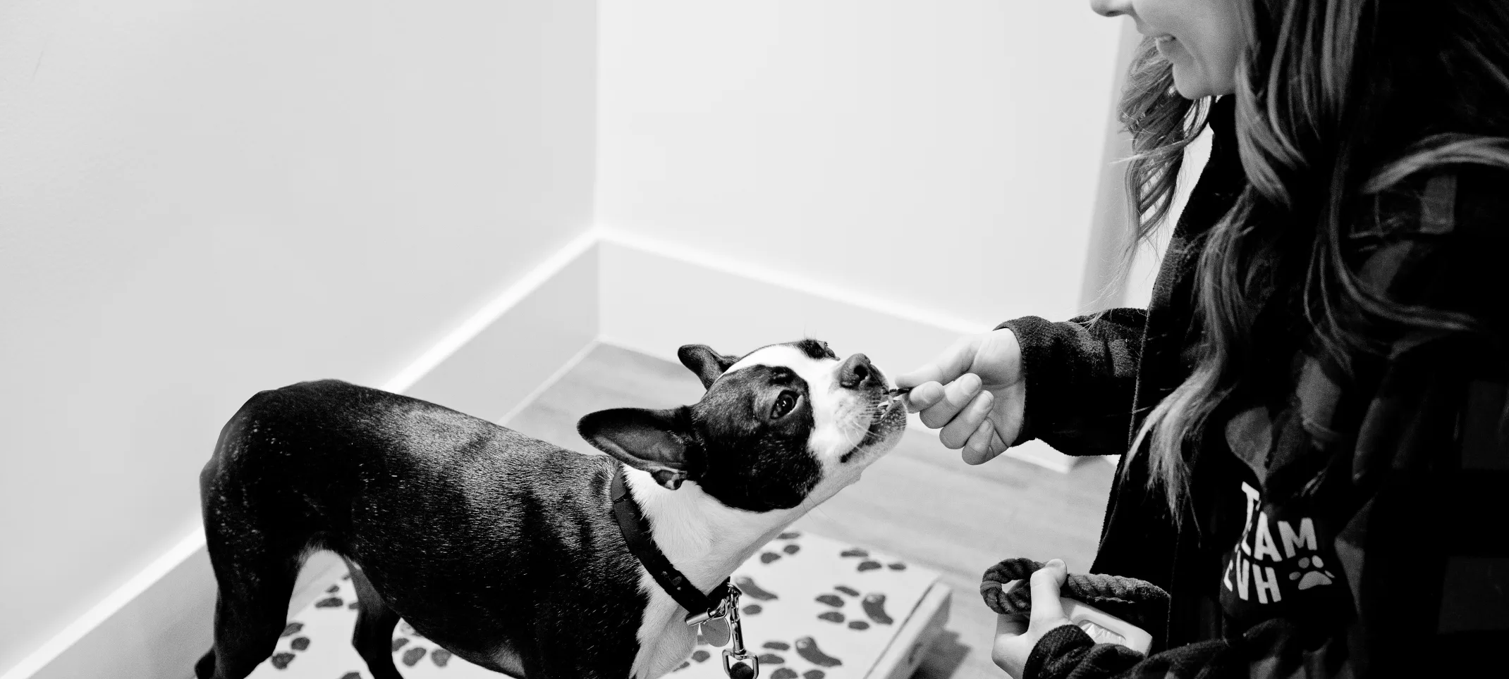 Black and white photo of a dog being given a treat