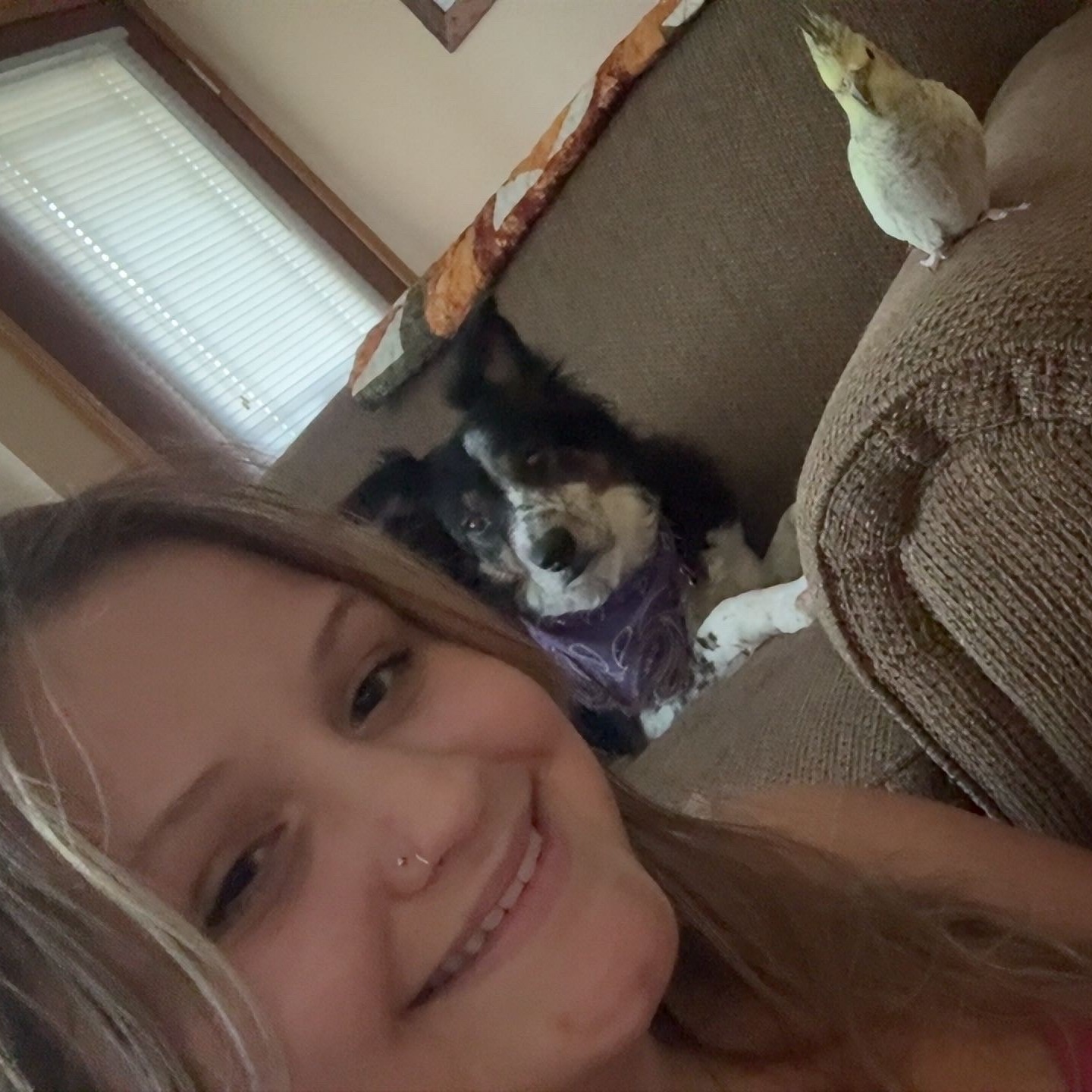 Kaylee