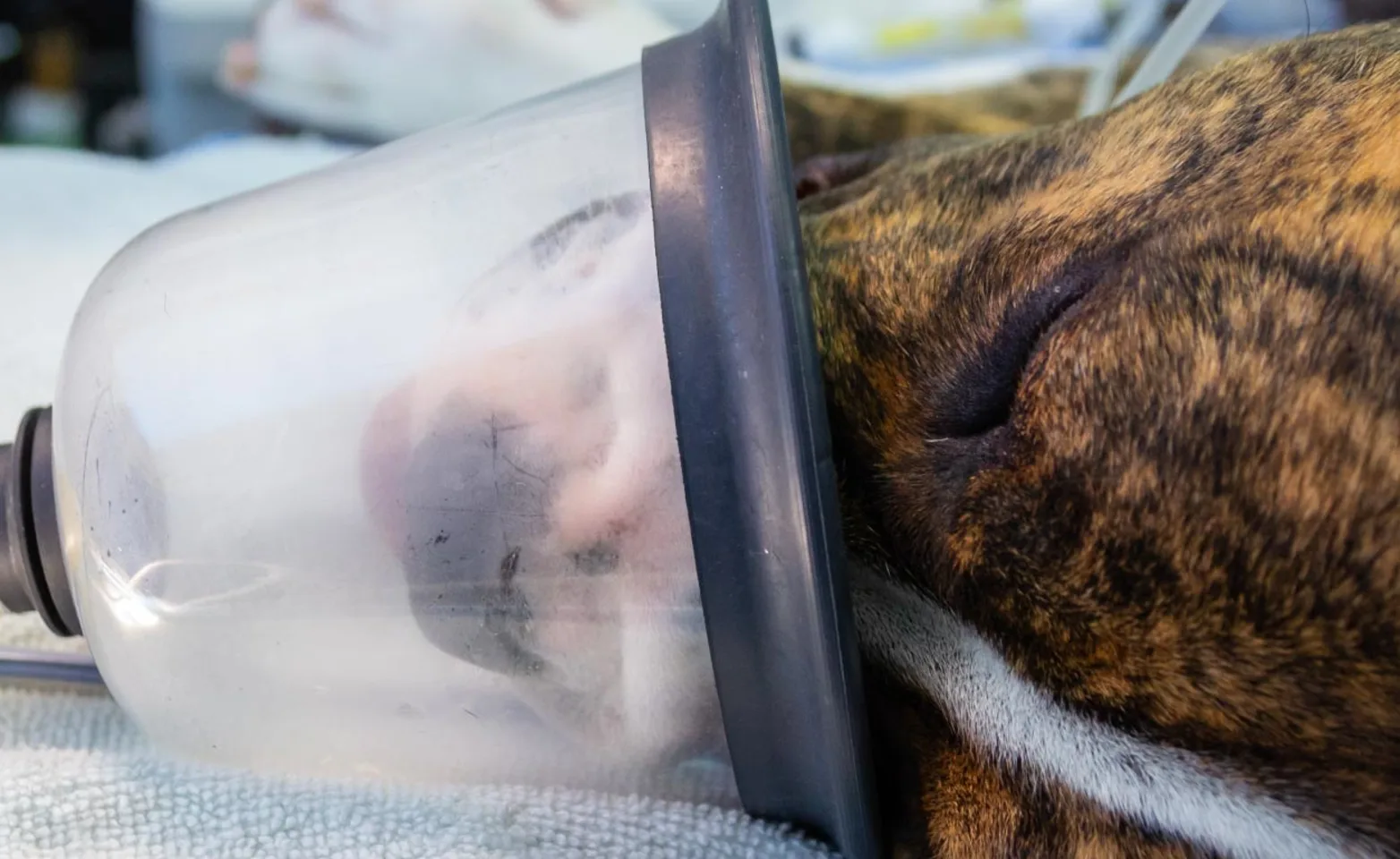 Hyperbaric Oxygen Therapy (HBOT) Hyperbaric Oxygen Therapy (HBOT)