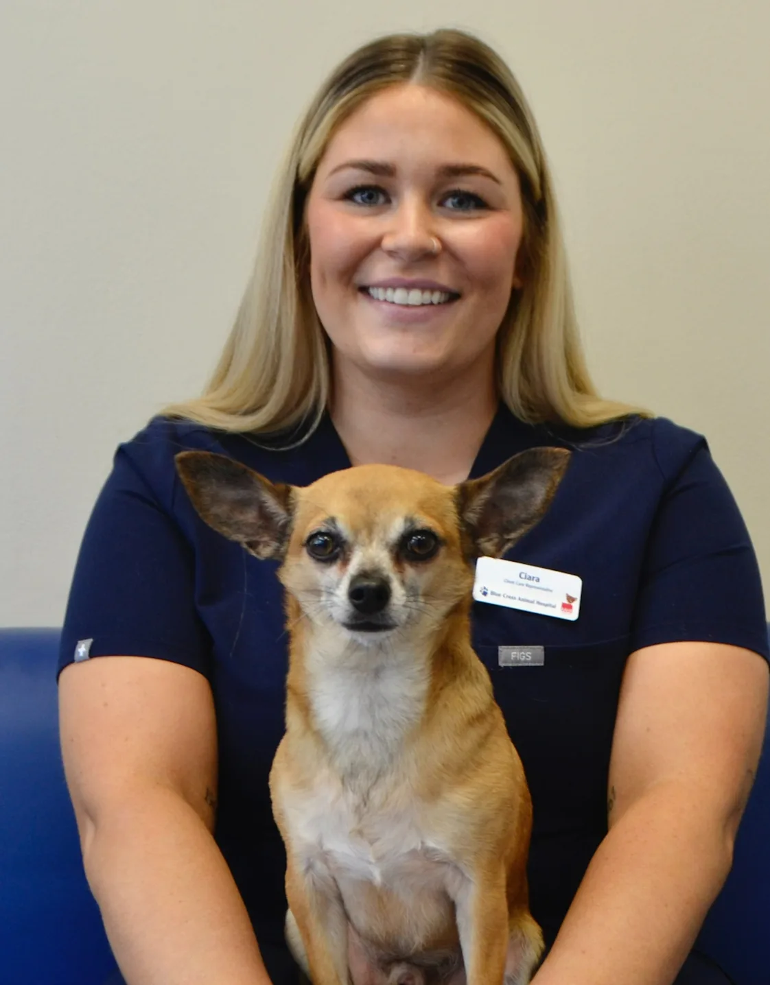 Ciara at Blue Cross Animal Hospital Ciara at Blue Cross Animal Hospital