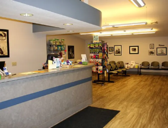 Receptionist Area inside New Haven Pet Hospital Receptionist Area inside New Haven Pet Hospital
