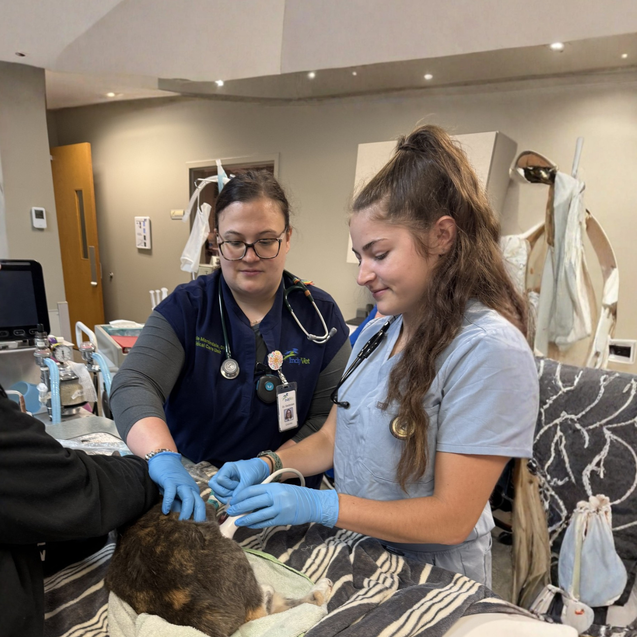 Two staff members doing a routine checkup