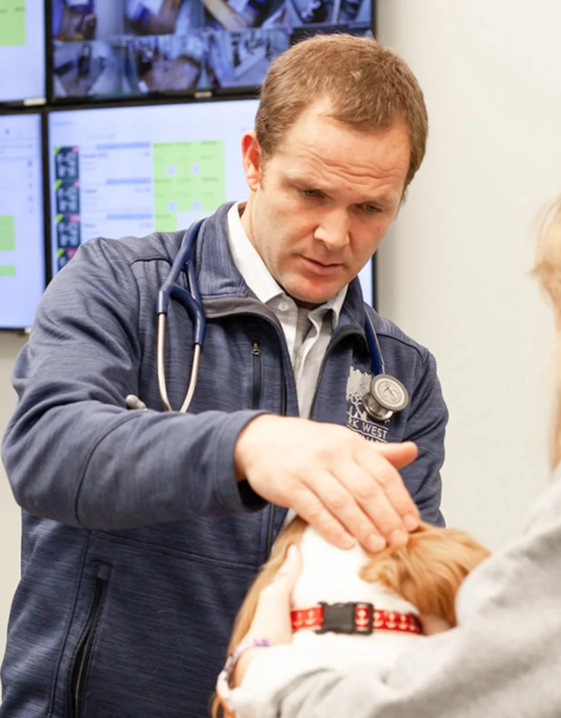 Dr. Justin Butler examining a dog Dr. Justin Butler examining a dog