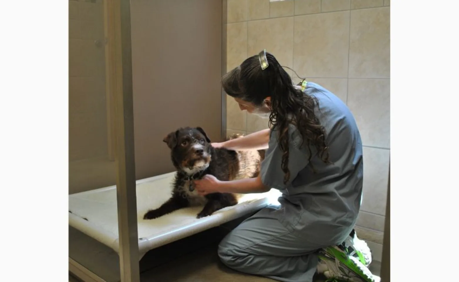 Doc consoling doctor Doc consoling doctor
