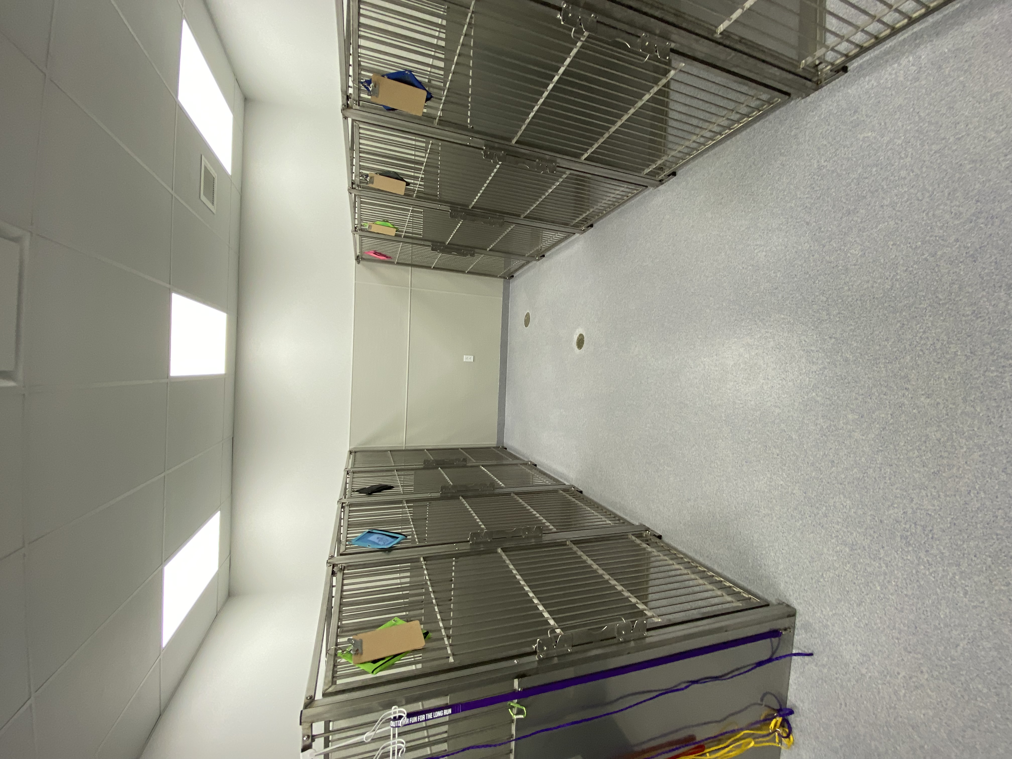 Animal Medical Center of Moss Bluff 1128 Kennel