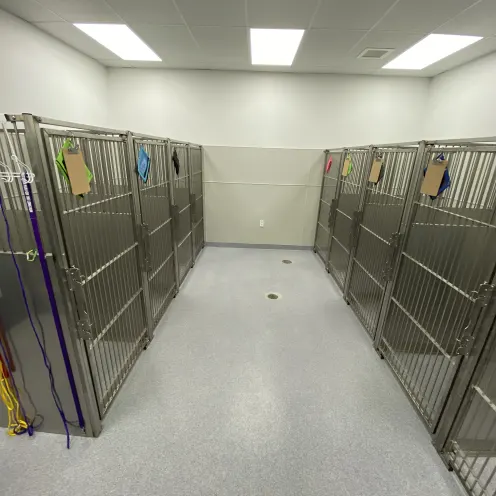 Animal Medical Center of Moss Bluff 1128 Kennel