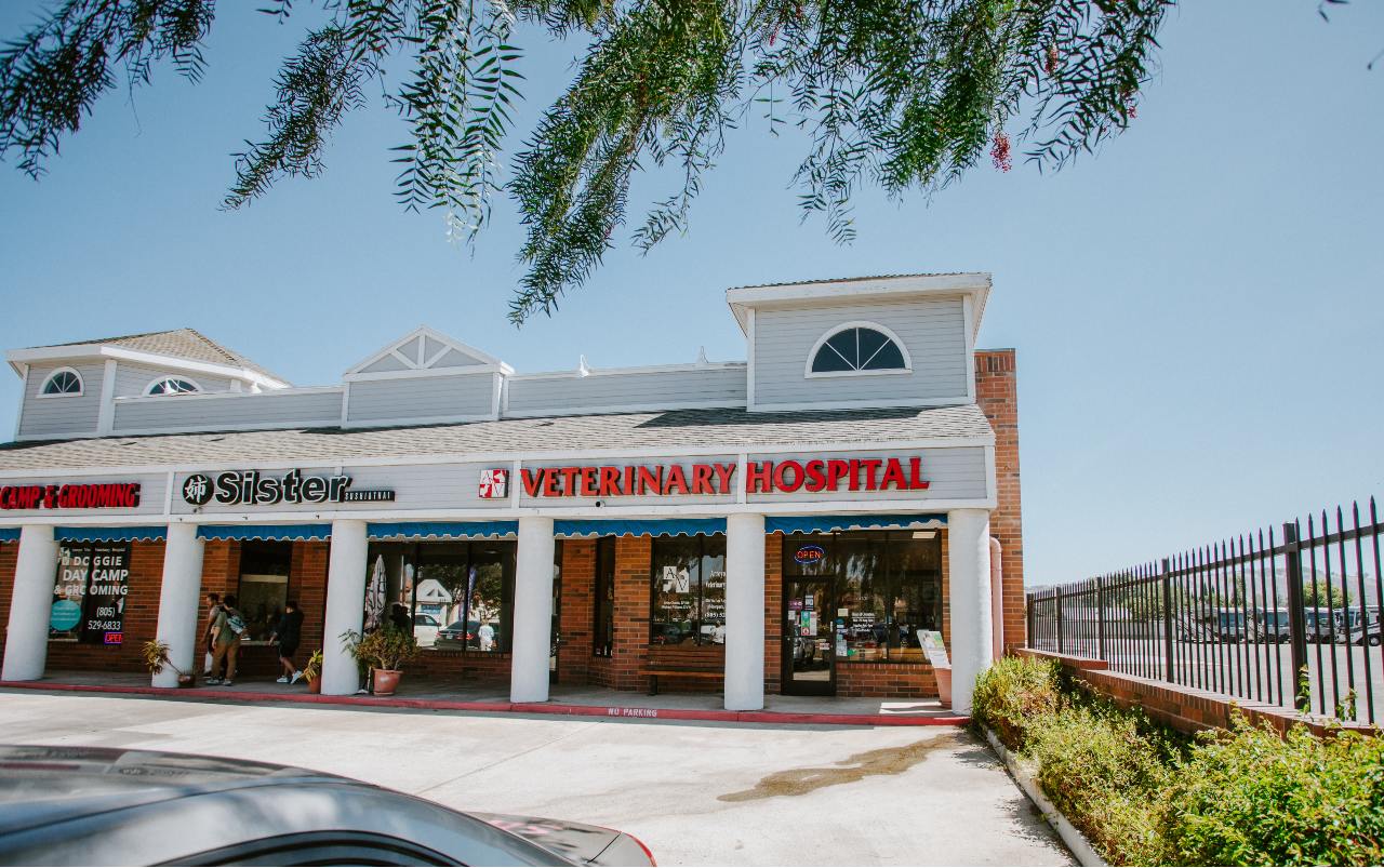 Vet hospital near shops me