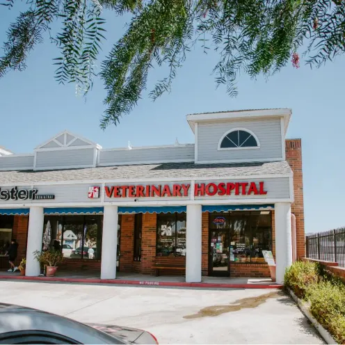 Arroyo Vista Veterinary Hospital Front Building