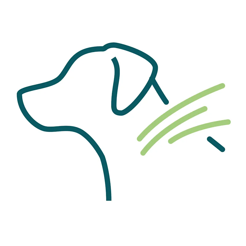 dog with Porcupine Quills icon dog with Porcupine Quills icon