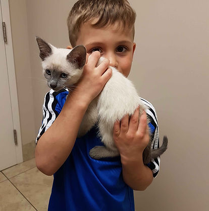 Little boy holding Siamese Cat