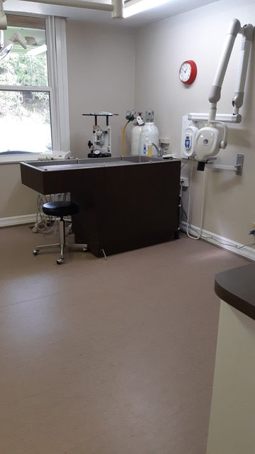 Dentistry Suite 