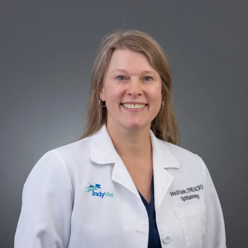 Dr. Klein Dr. Klein