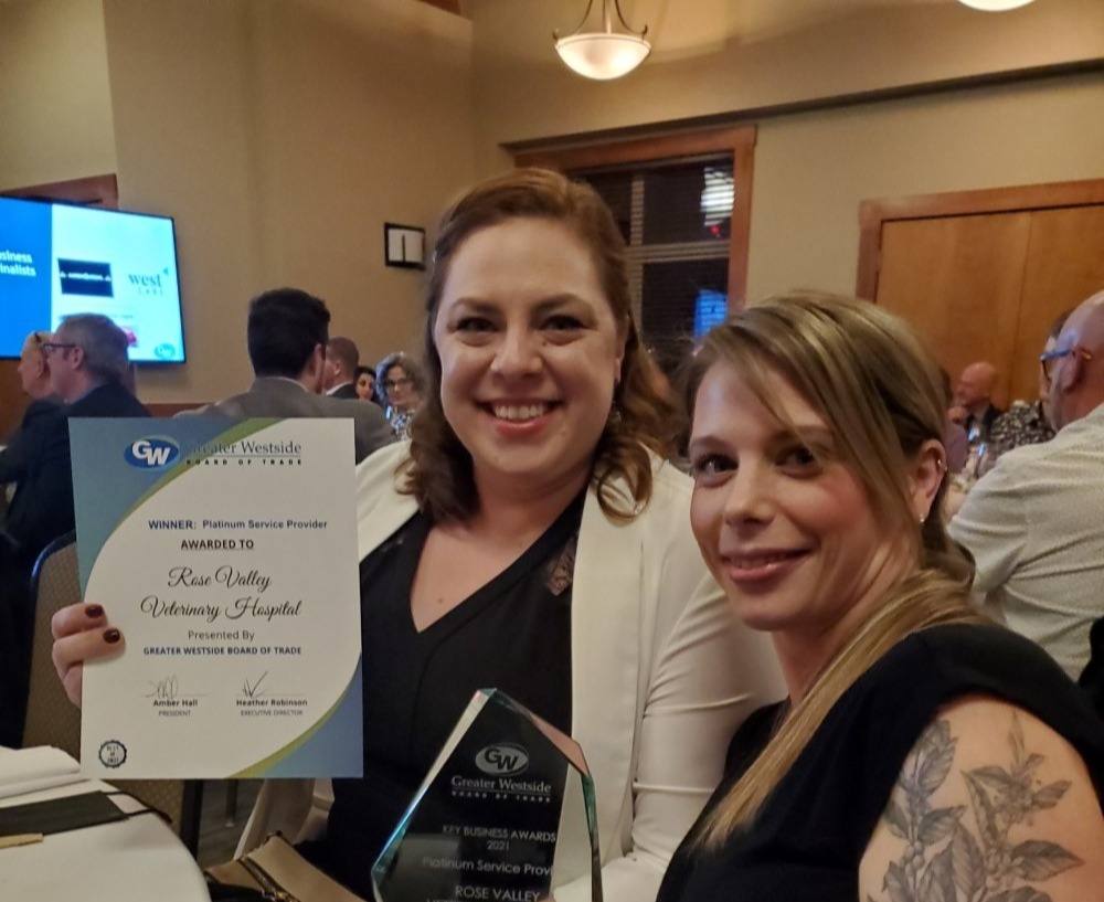 Staff holding awards 