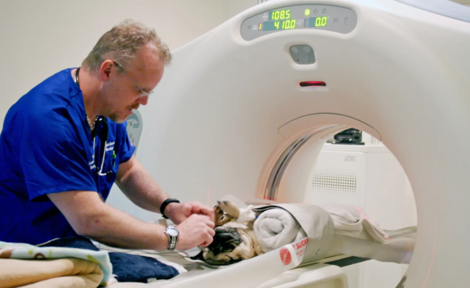 CT Scan on a Dog