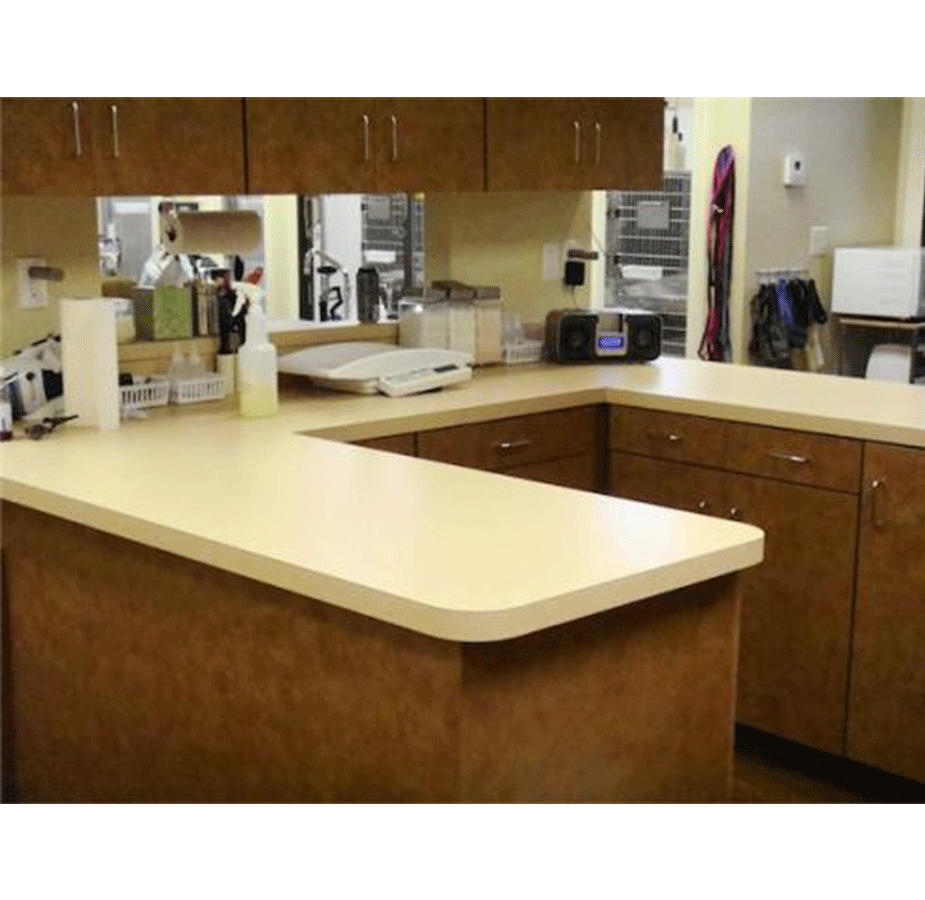 Southlake Crossing Animal Clinic Treatment Station