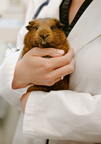staff member holding exotic animal