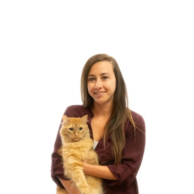 Dr. Natalie Waclawik Dr. Natalie Waclawik