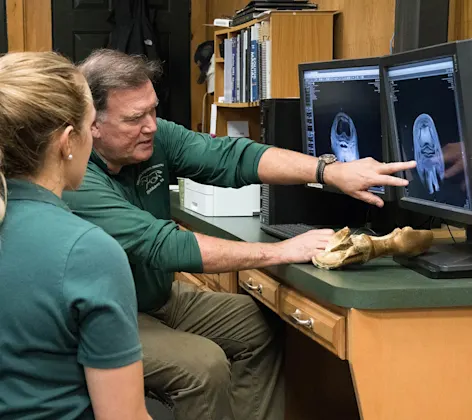 Staff members looking at x-rays on a computer Staff members looking at x-rays on a computer