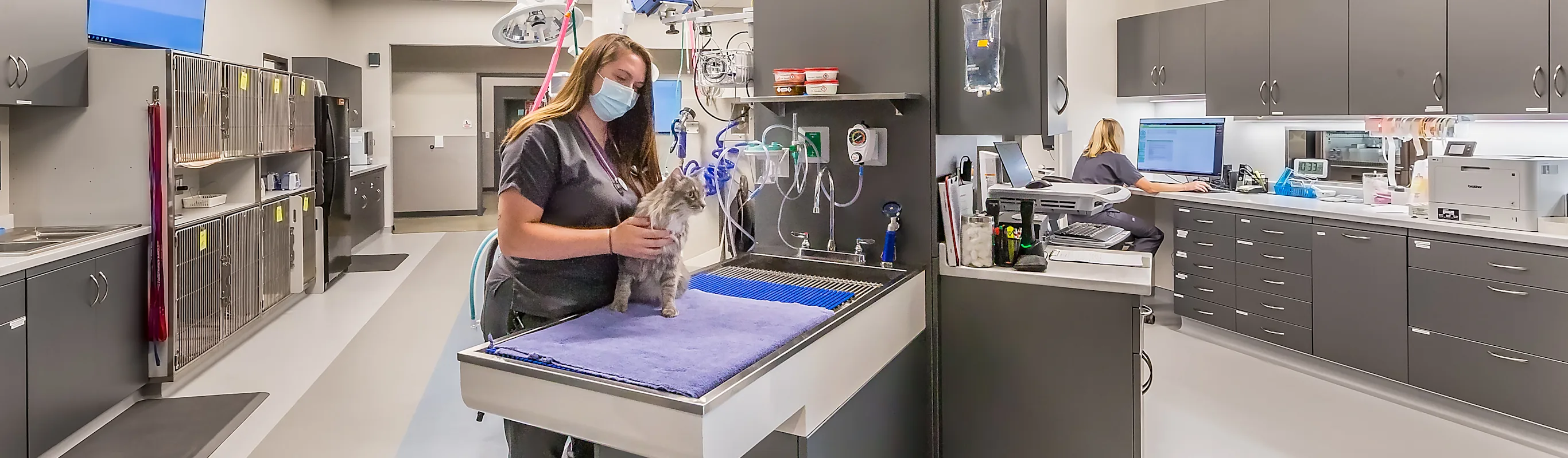 Staff in VESHW with cat patient. Staff in VESHW with cat patient.