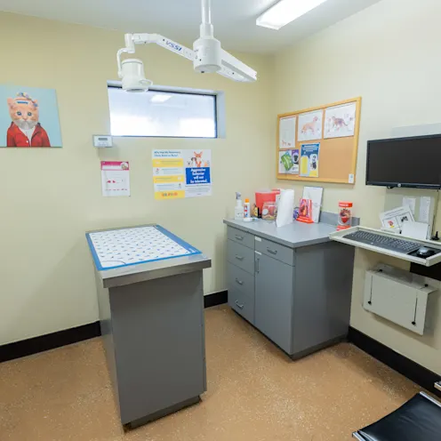 Exam Room 2 Exam Room 2