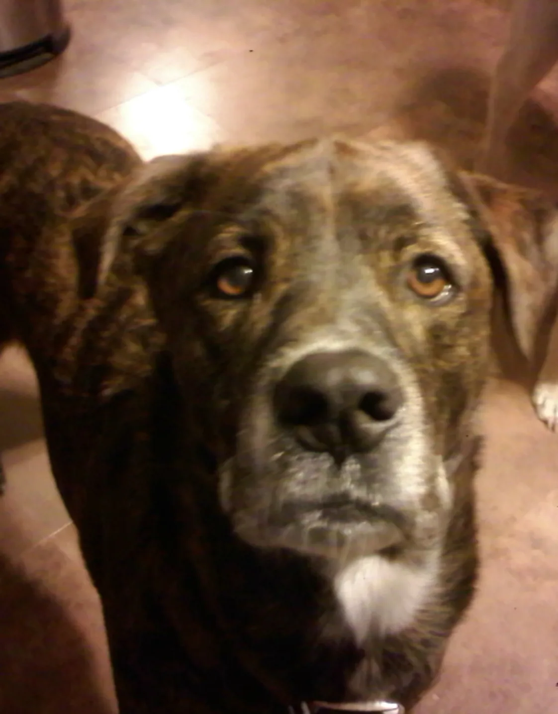 Cyclone Bartholomew Cyclone Bartholomew