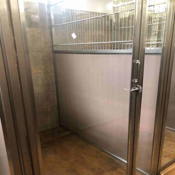 The standard kennel for dog boarding at Shady Brook Animal Hospital