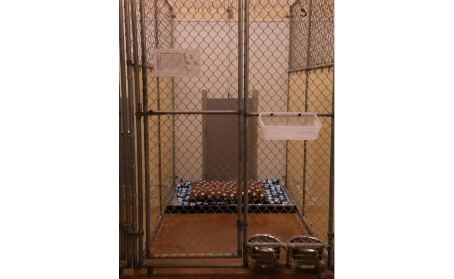 Happy Tails Pet Resort Boarding Standard Suite Happy Tails Pet Resort Boarding Standard Suite