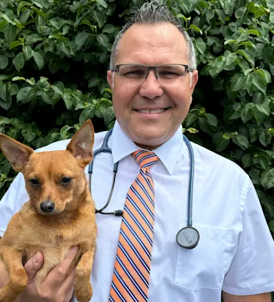 Nikola Velkov, DVM Nikola Velkov, DVM