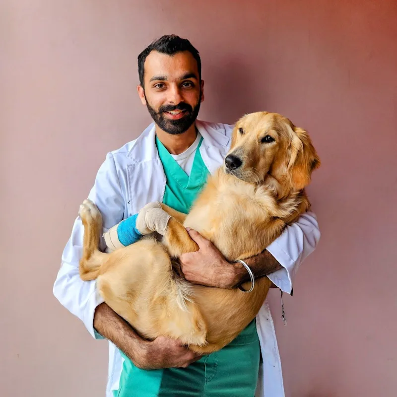 Dr. Guntej Grewal Dr. Guntej Grewal
