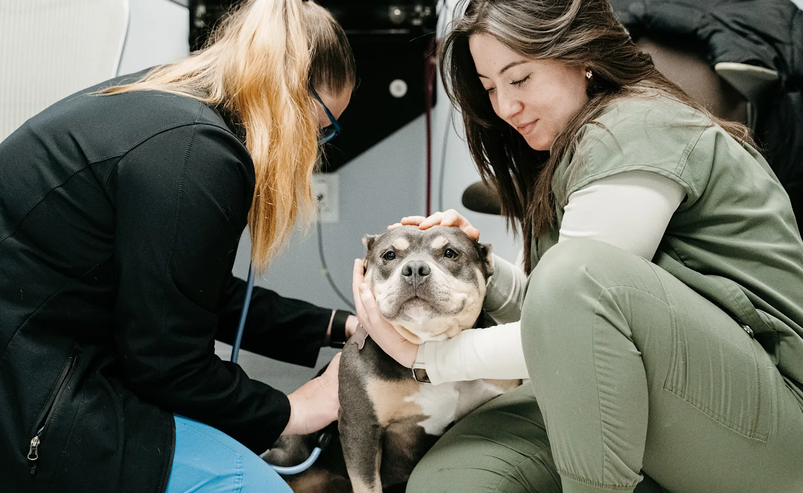 Patient being examined Patient being examined