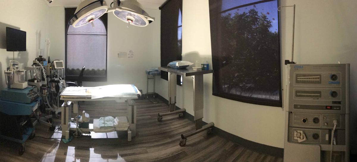 A SCAN Naples' exam room with a large amount of veterinary medical equipment
