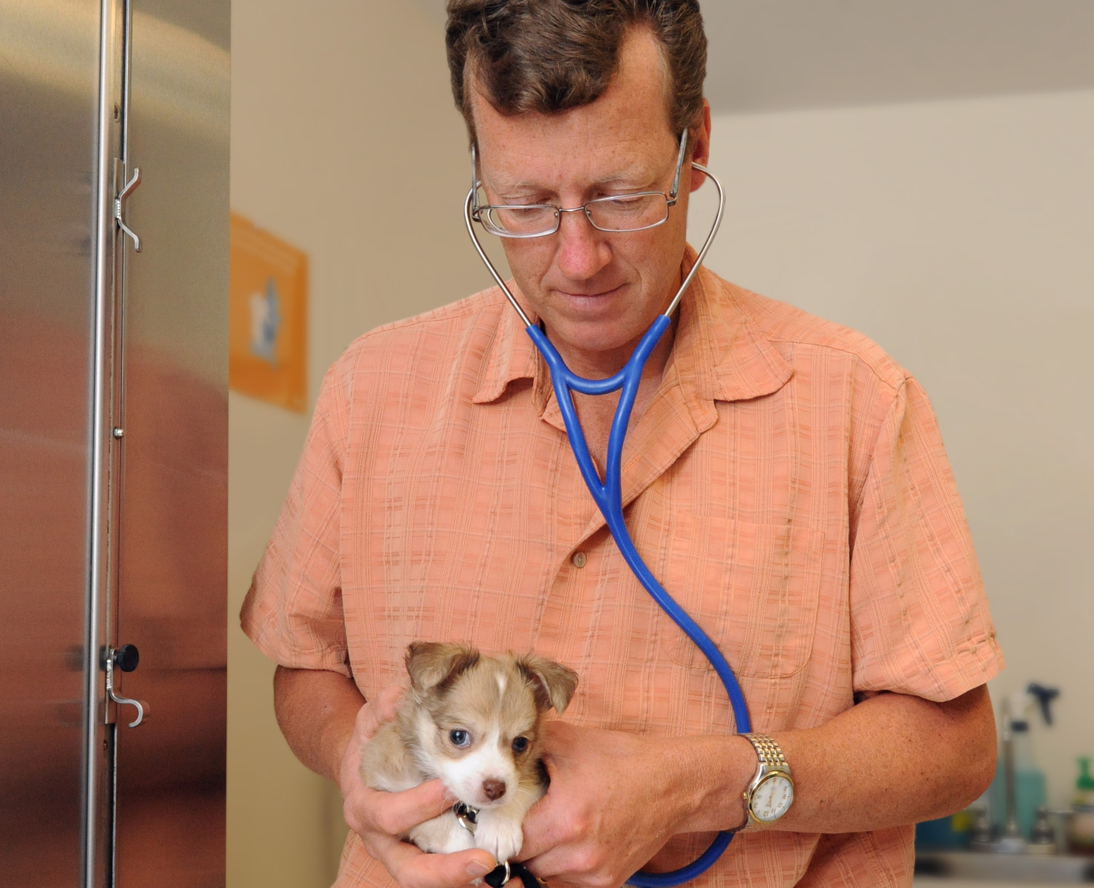 Dr. Brust holding small dog at Henniker Veterinary Hospital