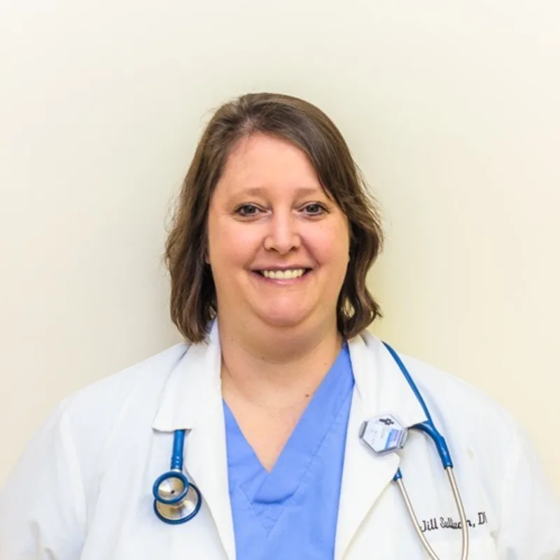 Dr. Jill Sullivan, vet at Gentle Care Animal Hospital Dr. Jill Sullivan, vet at Gentle Care Animal Hospital
