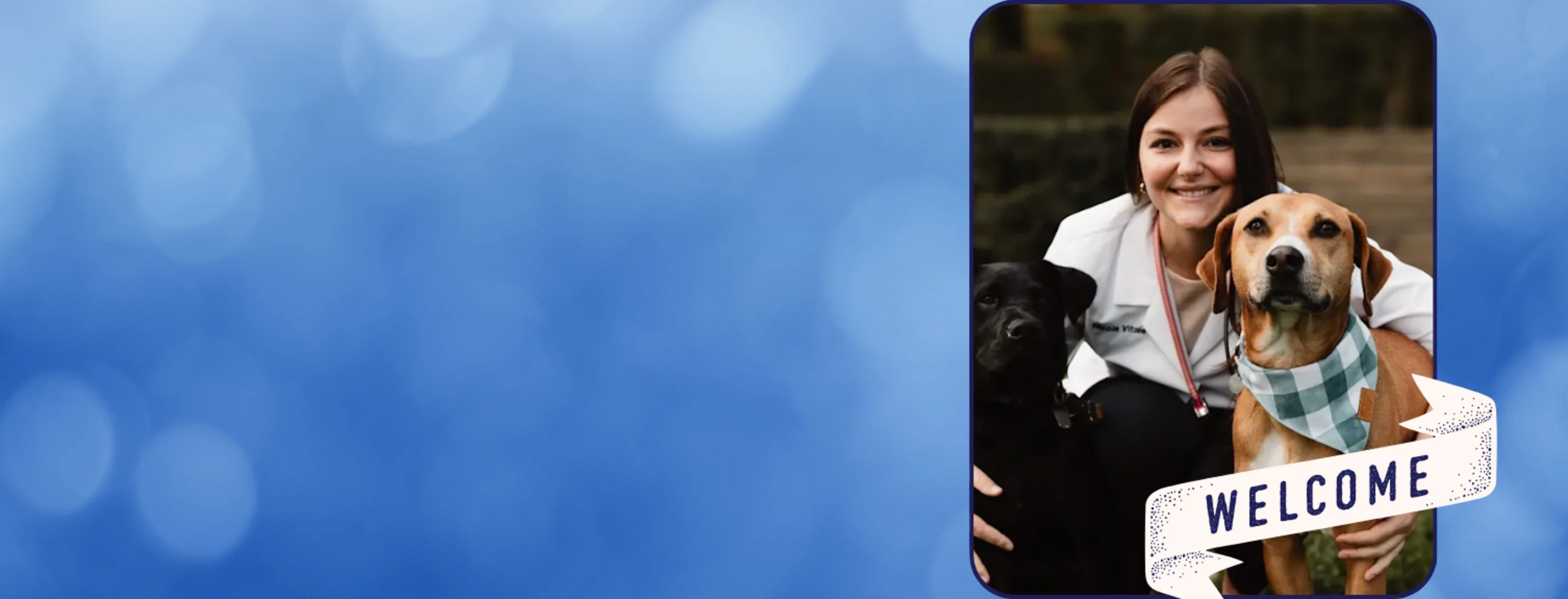 Welcome Dr. Nicole Vitale to East Brook Animal Hospital Welcome Dr. Nicole Vitale to East Brook Animal Hospital