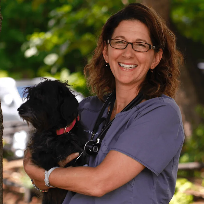 Dr. Lori Paporello of Northampton Veterinary Clinic standing outside holding a dog Dr. Lori Paporello of Northampton Veterinary Clinic standing outside holding a dog