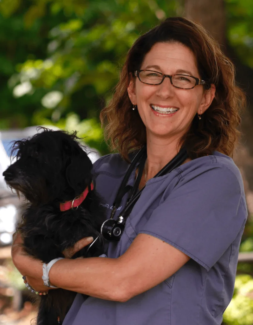 Dr. Lori Paporello of Northampton Veterinary Clinic standing outside holding a dog