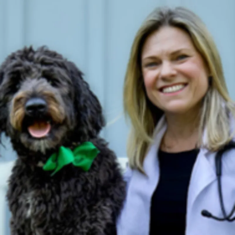 Dr. Nicole Mercurio Dr. Nicole Mercurio