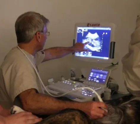 Diagnostic Ultrasound 